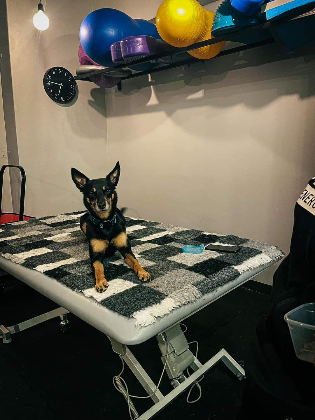 Sprzęt rehabilitacyjny Sumer - zdjęcie 14