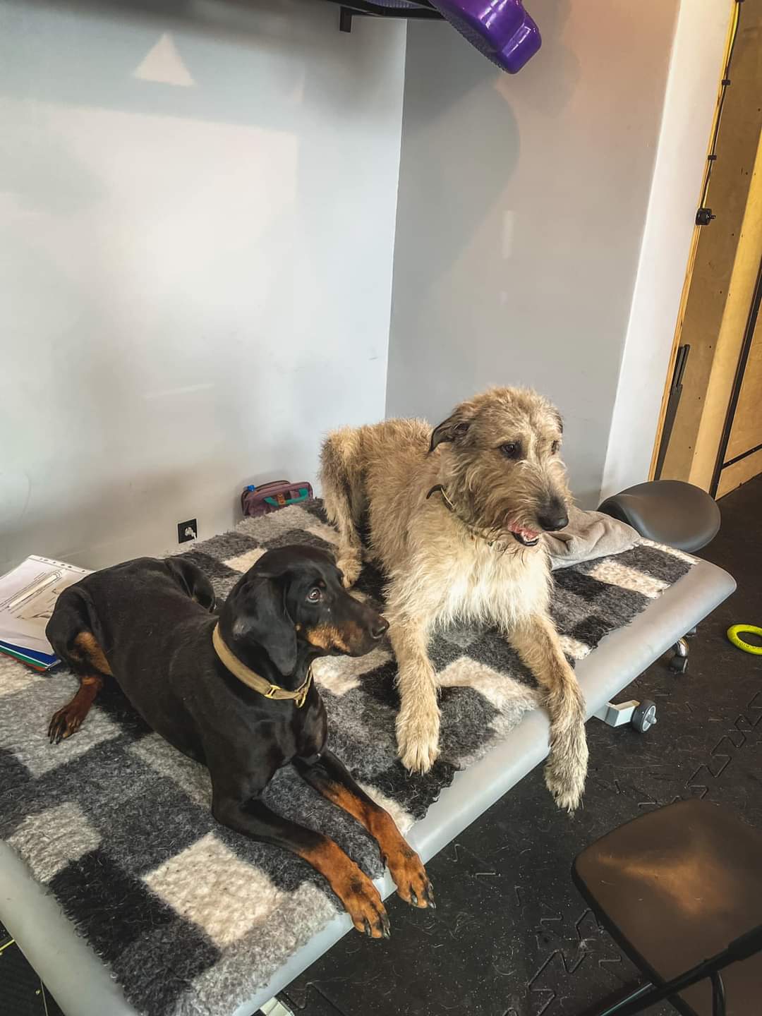 Sprzęt rehabilitacyjny Sumer - zdjęcie 15